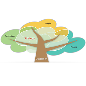 Sales and business practices